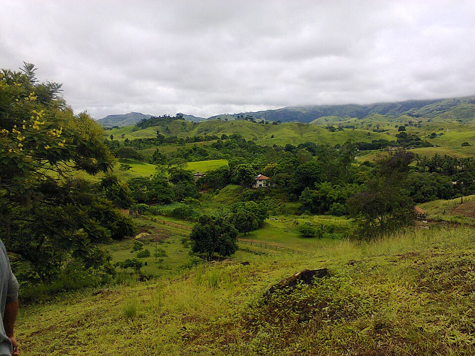Bom Jardim